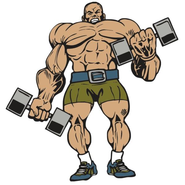 AR WEIGHTS 53 RC Miniaturansicht