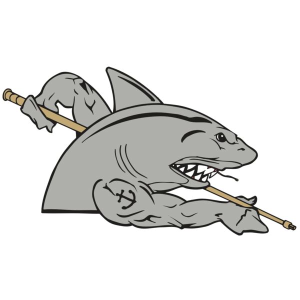 AR POOL 27 RC Miniaturansicht