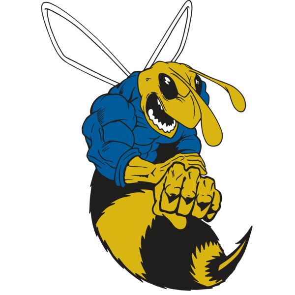 AR5 BEE 29 RQC Miniaturansicht