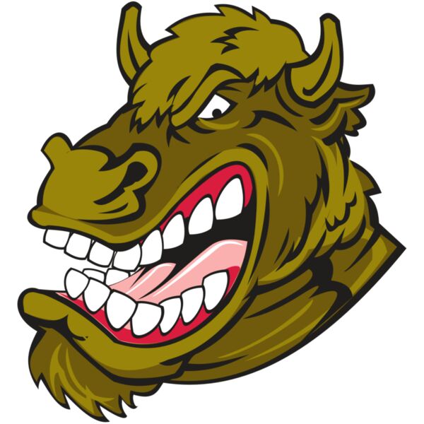 BUFFALO HD0501 RQC Miniaturansicht