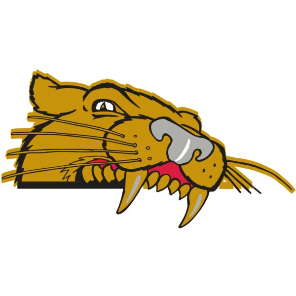 AR COUGAR 73 RC Miniaturansicht