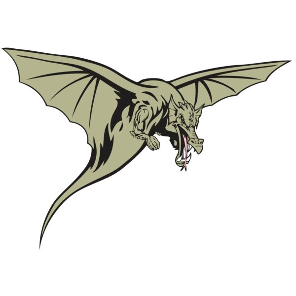 BAW DRAGON 12 RC Miniaturansicht