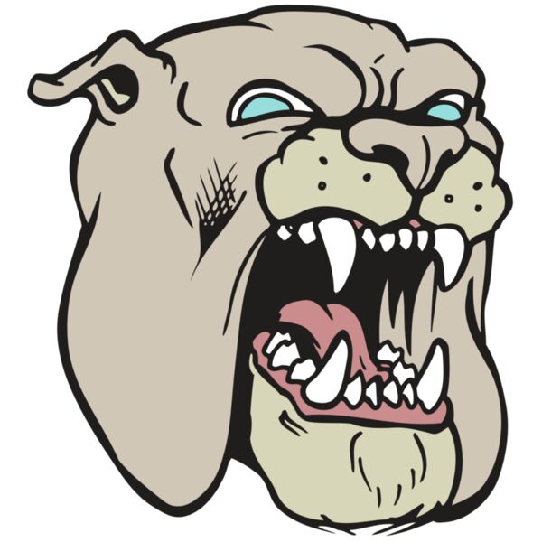 AR BDOG 42 RC Miniaturansicht