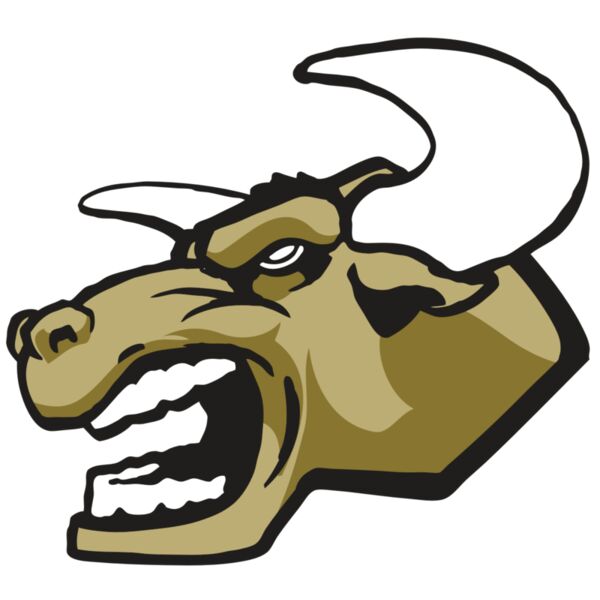 AR3 BULL 01 RQC Miniaturansicht