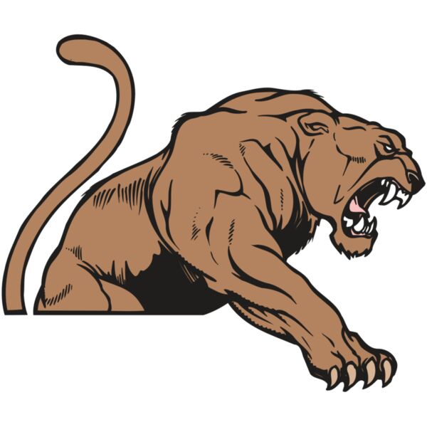 AR COUGAR 55 RC Miniaturansicht