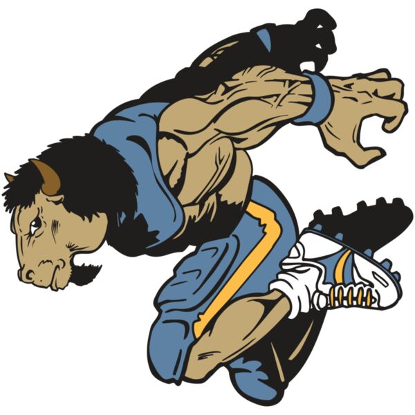 AR14 BUFFALO FBLL 07 RQC Miniaturansicht