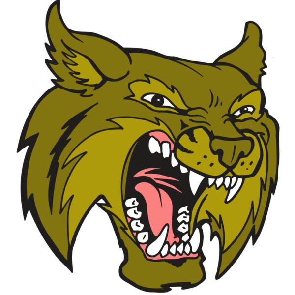 AR5 BOBCAT 20 RQC Miniaturansicht