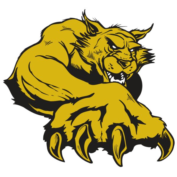 AR WILDCAT 26 RC Miniaturansicht