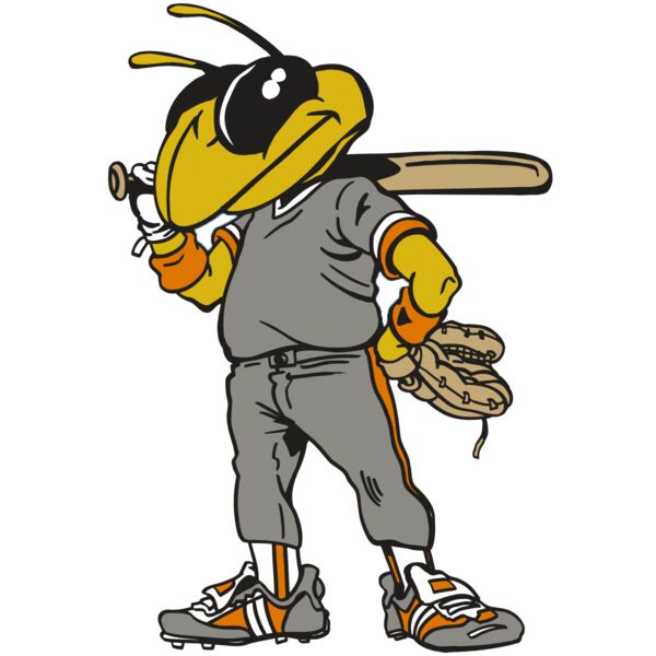 AR5 BEE 17 RQC Miniaturansicht