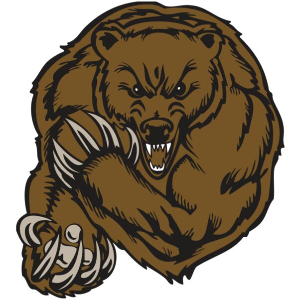 BAW BEAR 07 RC Miniaturansicht