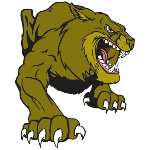 AR5 BOBCAT 24 RQC Miniaturansicht