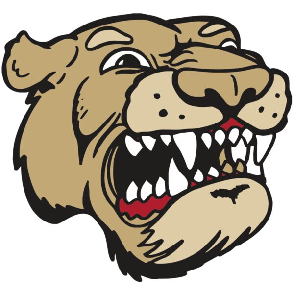 AR5 COUGAR 04 RQC Miniaturansicht