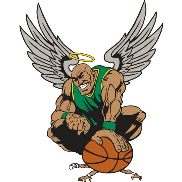 AR17 ANGEL BSKT 03 RQC Miniaturansicht