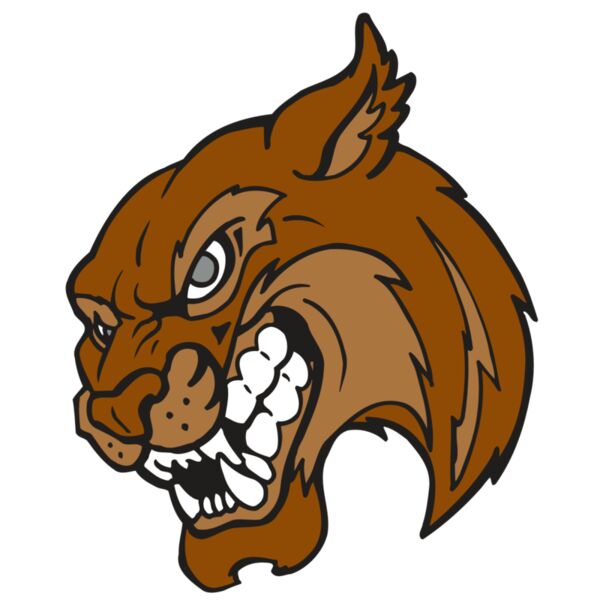 AR5 BOBCAT 07 RQC Miniaturansicht