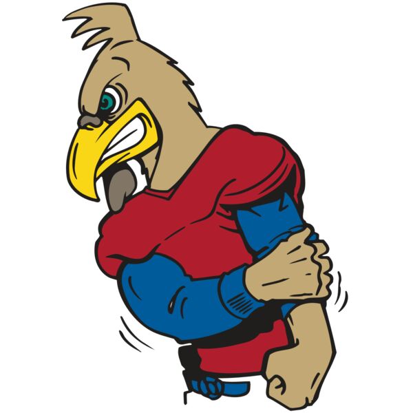 AR GCOCK 10 RC Miniaturansicht