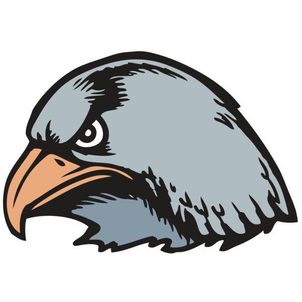 BAW HWK FLCN 03 RC Miniaturansicht