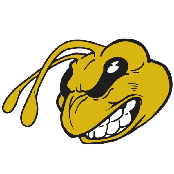 AR5 BEE 10 RQC Miniaturansicht