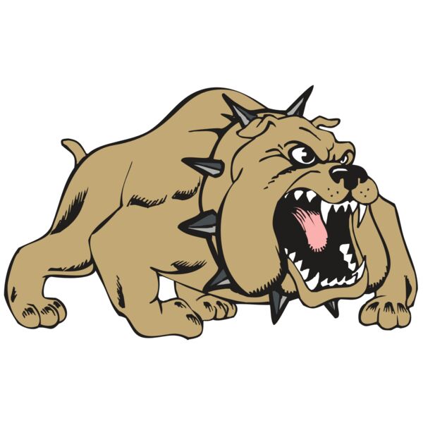 BAW BULLDOG 01 RC Miniaturansicht