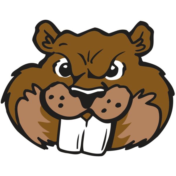 AR BEAVER 10 RC Miniaturansicht