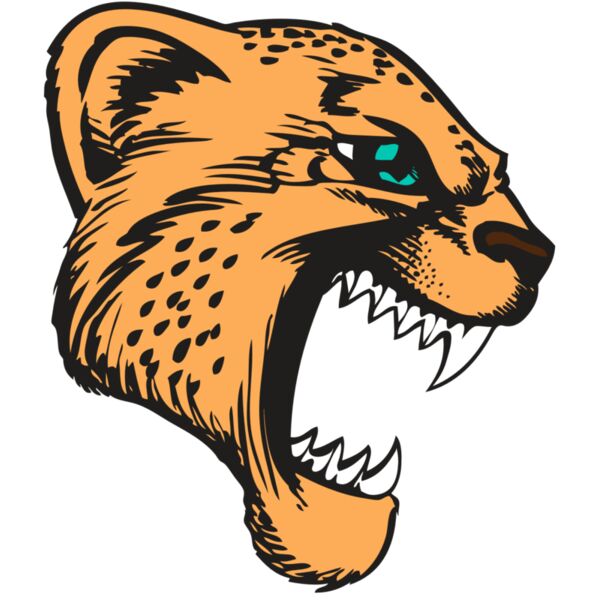 BAW CHEETAH 11 RC Miniaturansicht