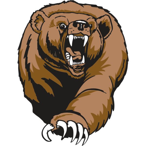 AR BEAR 74 RC Miniaturansicht