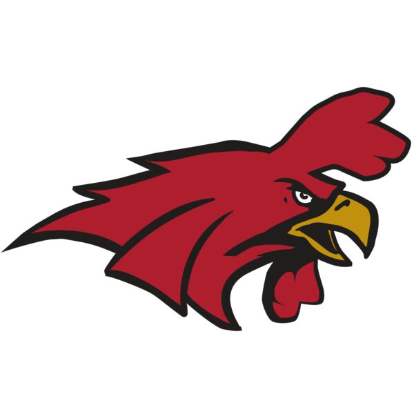 AR15 GAMECOCK 01 RQC Miniaturansicht