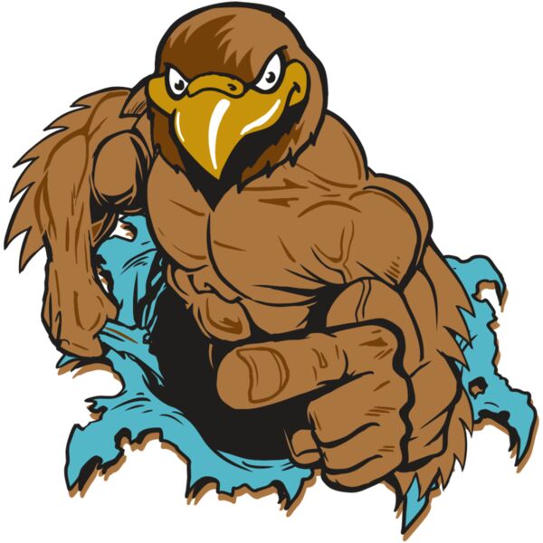 AR22 HAWK 01 RQC Miniaturansicht