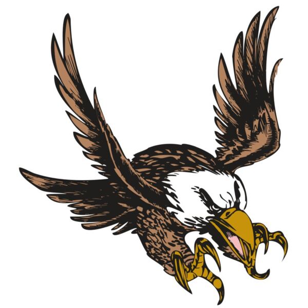 BAW EAG 05 RC Miniaturansicht