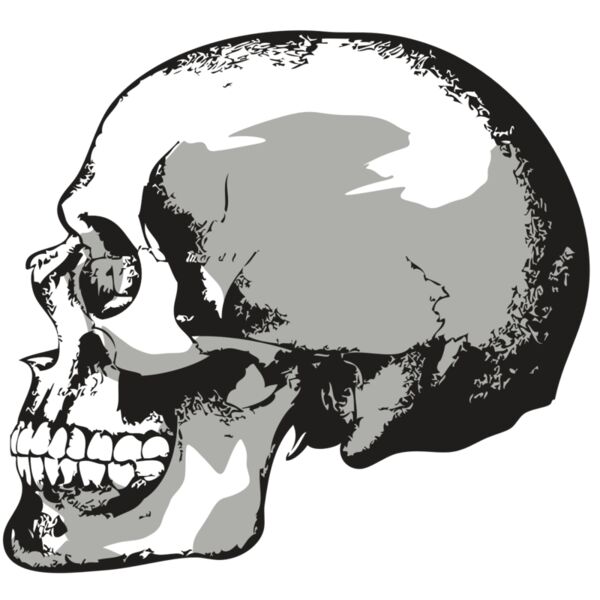 AR24 SKULL 02 RQC Miniaturansicht