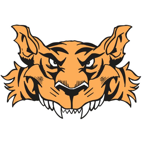 AR5 Tiger 07 RQC Miniaturansicht