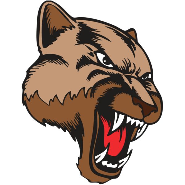 BAW COUG PANTH 11 R Miniaturansicht