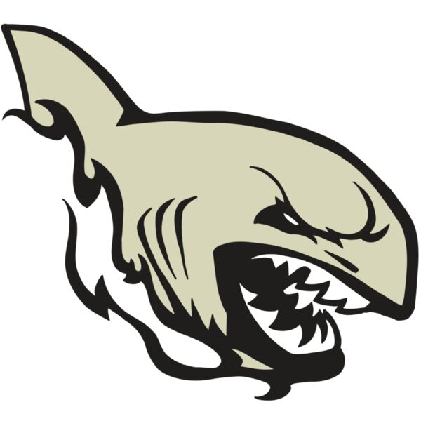 AR5 Shark 08 RQC Miniaturansicht