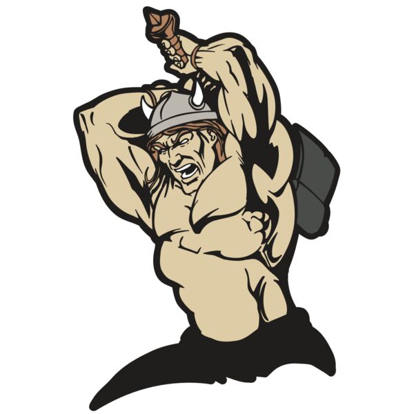 AR VIKING 19 RC Miniaturansicht