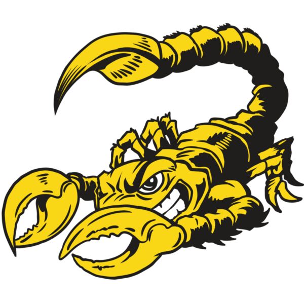 AR19 SCORP 01 RQC Miniaturansicht