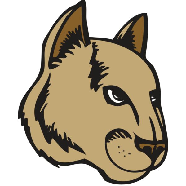 BAW COUG PANTH 13 R Miniaturansicht