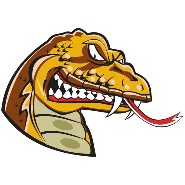 SNAKE HD0504 RQC Miniaturansicht