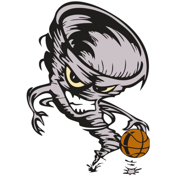 BAW STORM 06 RC Miniaturansicht