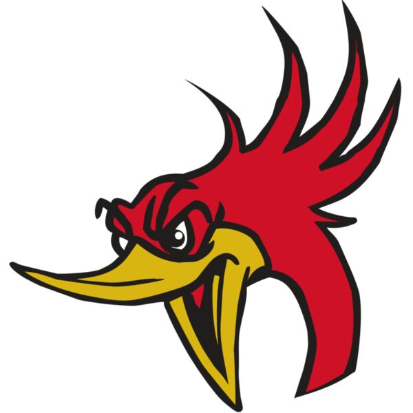 AR31 ROADRUNNER 02 RQC Miniaturansicht