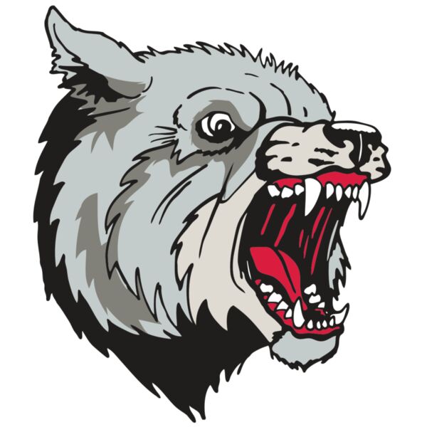 AR WOLF 38 RC Miniaturansicht