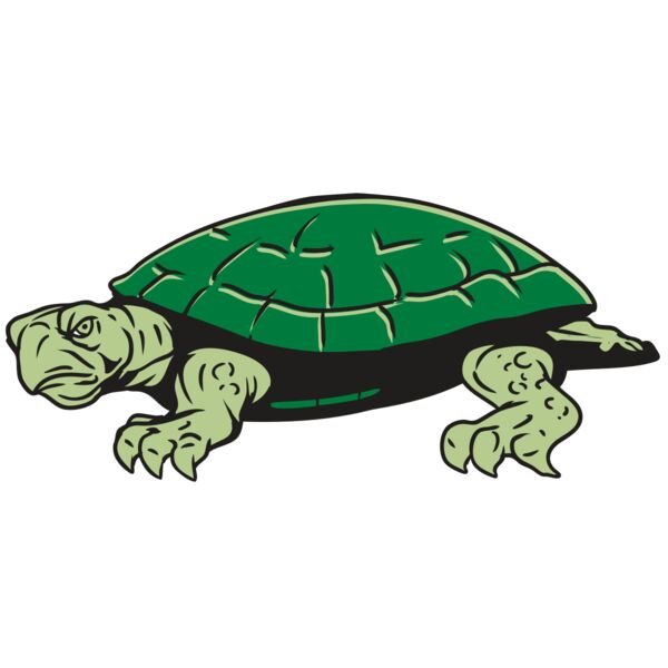 AR32 TURTLE 01 RQC Miniaturansicht