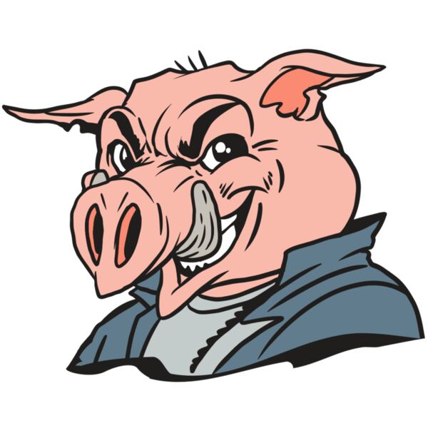 AR13 PIG 01 RQC Miniaturansicht