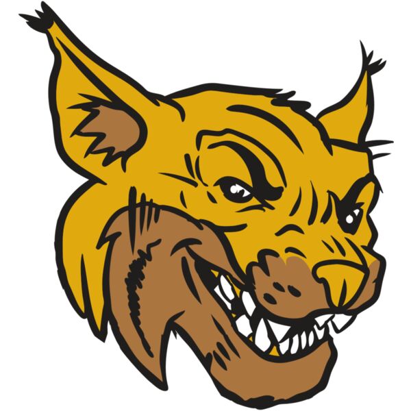 AR15 WILDCAT 01 RQC Miniaturansicht