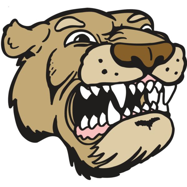 AR5 COUGAR 04 RQC Miniaturansicht