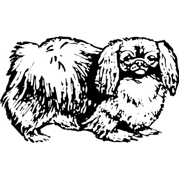 DC0018 Miniaturansicht