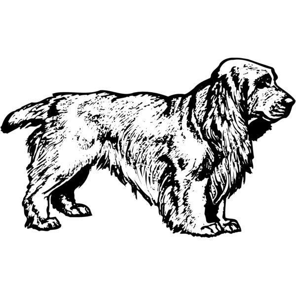 DC0027 Miniaturansicht