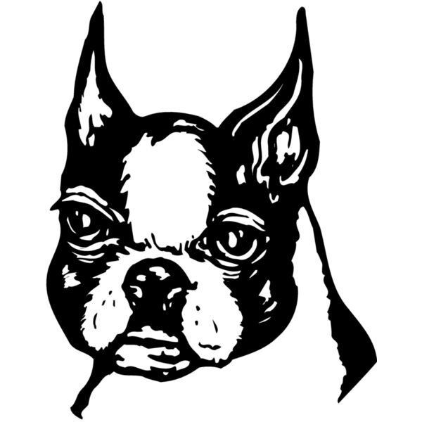 DC0060 Miniaturansicht