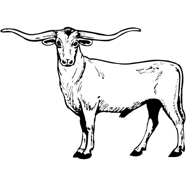 COW016 Miniaturansicht