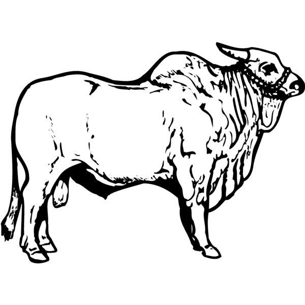 COW018 Miniaturansicht