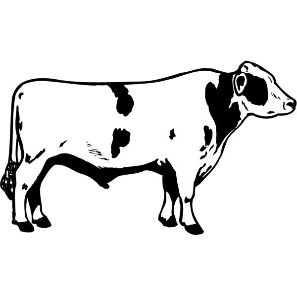 COW020 Miniaturansicht