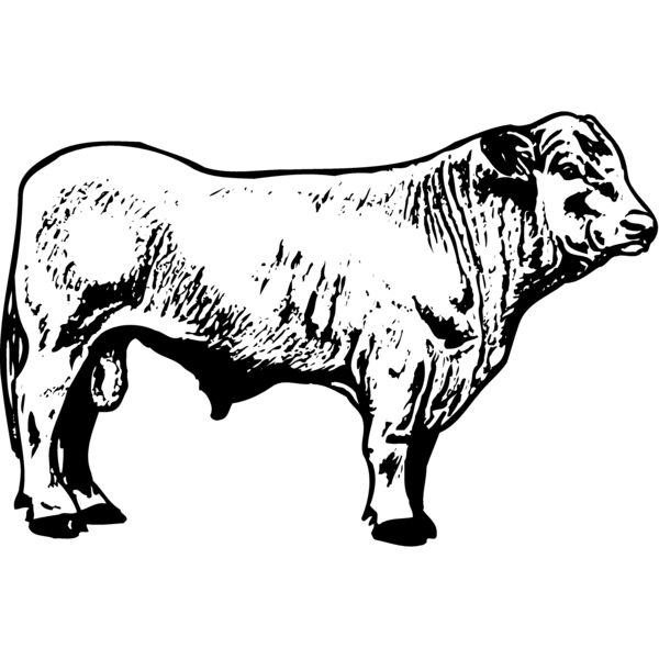 COW023 Miniaturansicht